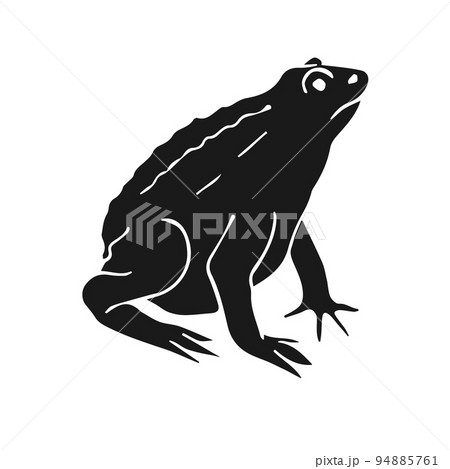 Vector hand drawn doodle sketch black frog 94885761