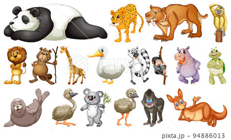 Different wild animals on white background Different wild animals on white background 94886013