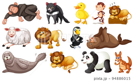 Different wild animals on white background 94886015