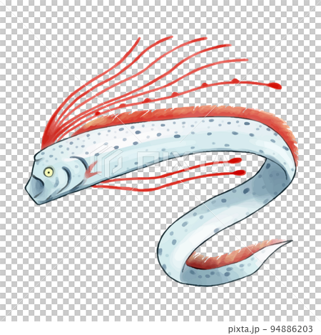 リュウグウノツカイ 94886203