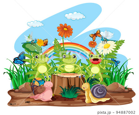 Frog living in nature Frog living in nature 94887002