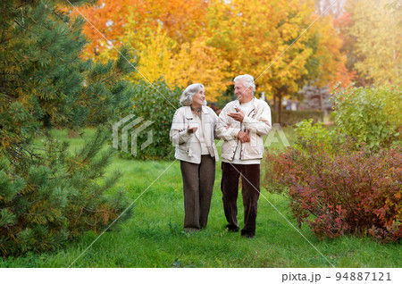 Elderly couple in the park in autumn. In full growth 94887121