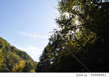 札幌 滝野公園 札幌 滝野公園 94889061