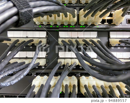 Ethernet cables connected to the network equipment 94889557