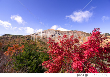 福島県の一切経山と真っ赤に紅葉した葉とのコラボレーションが青空に麗 94890689