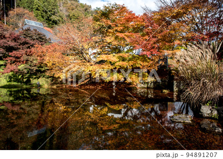 秋の古今伝授の里 秋の古今伝授の里 94891207