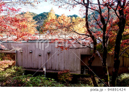秋の古今伝授の里 秋の古今伝授の里 94891424