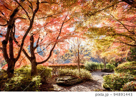 秋の古今伝授の里 94891443