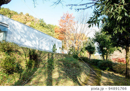 秋の古今伝授の里 94891766