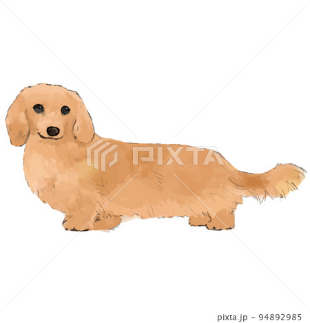ダックスフンドの手描き風イラスト2 ダックスフンドの手描き風イラスト2 94892985
