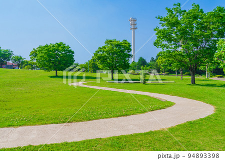 あいち健康の森公園、塔へと続く小径〈愛知県大府市〉 あいち健康の森公園、塔へと続く小径〈愛知県大府市〉 94893398