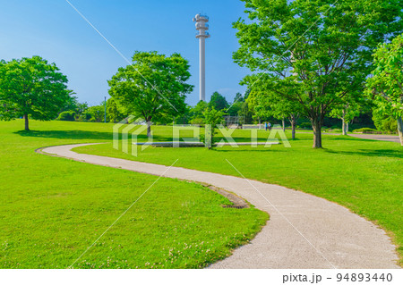 あいち健康の森公園、塔へと続く小径〈愛知県大府市〉 94893440