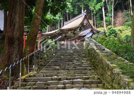 滋賀県日吉大社の神秘的な白山宮への参道 94894988