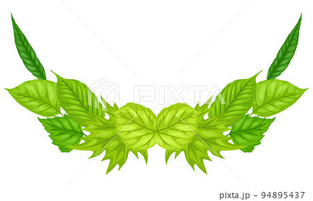 Background with spring leaves. Beautiful decorative foliage. 94895437