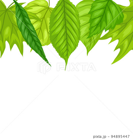 Background with spring leaves. Beautiful decorative foliage. 94895447
