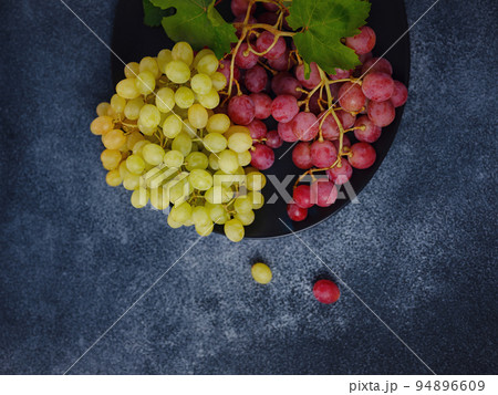 Vineyard Harvest in autumn season 94896609