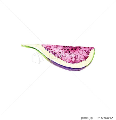 Hand drawn watercolor section of fig. Hand drawn illustration of organic snack for healthy diet. Edible fresh fruit of ficus carica. Ingredient for jam making, dessert recipe, logo and label 94896842