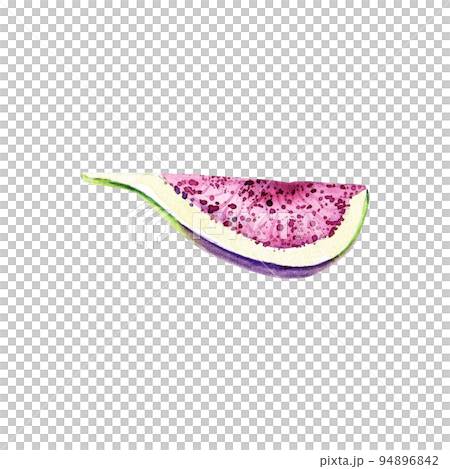 Hand drawn watercolor section of fig. Hand drawn illustration of organic snack for healthy diet. Edible fresh fruit of ficus carica. Ingredient for jam making, dessert recipe, logo and label 94896842