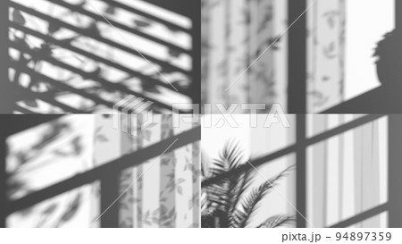 Game of shadow with curtain and trees silhouette set 94897359