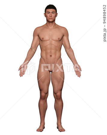手を開き直立する全裸の男性、正面 94898452