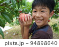 少年　桃狩り　楽しい　嬉しい　桃　果実　小学生　笑顔 94898640