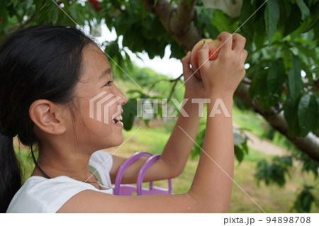 少女　桃狩り　楽しい　笑顔　果樹園　小学生　桃 94898708