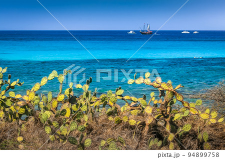 Aruba idyllic caribbean beach at sunny day, Dutch Antilles, Caribbean Sea 94899758