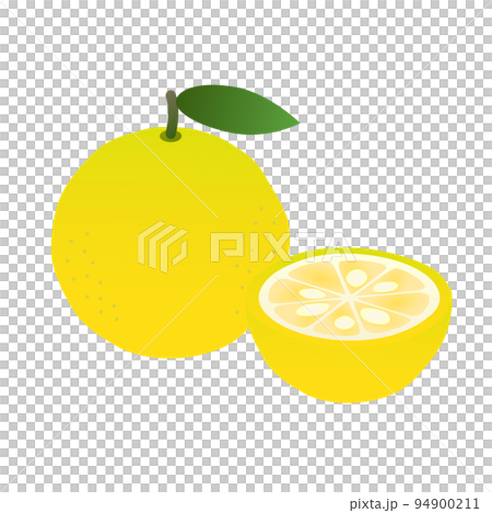 簡單的柚子插畫(有漸變) 簡單的柚子插畫(有漸變) 94900211
