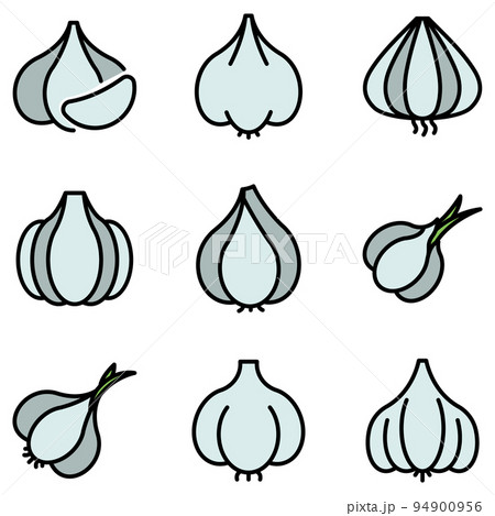 Garlic icons set. Outline set of garlic vector icons thin line color flat on white 94900956