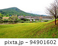 舞鶴公園　桜橋 94901602