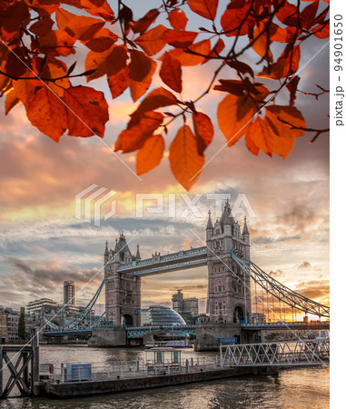 Tower Bridge with autumn leaves in London, England, UK 94901650