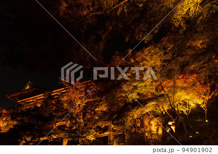 京都東山の秋　世界遺産　清水寺（紅葉ライトアップ）　舞台 94901902