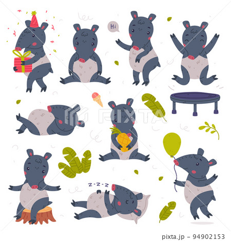 Cute Tapir Animal with Proboscis Engaged in Different Activity Vector Set 94902153