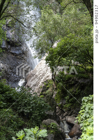 huentitan ravine in guadalajara, full of vegetation water falling, several waterfalls in mexico 94902317