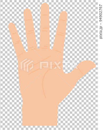 palm 94902767