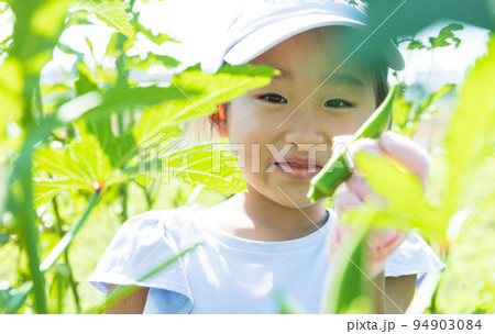 畑の野菜を収穫するかわいい子供 94903084