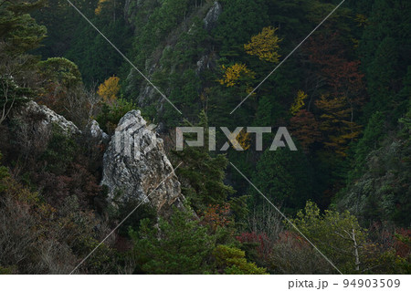 多紀連山の紅葉 多紀連山の紅葉 94903509