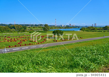 東京都葛飾区柴又7丁目の江戸川河川敷にある柴又公園花壇 東京都葛飾区柴又7丁目の江戸川河川敷にある柴又公園花壇 94905431