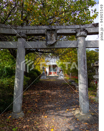 沼田大明神(縦) 沼田大明神(縦) 94905549