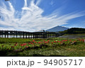 鶴の舞橋と彼岸花 94905717