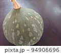 かぼちゃ 94906696