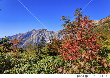 紅葉真っ盛りな栂池自然園 紅葉真っ盛りな栂池自然園 94907123