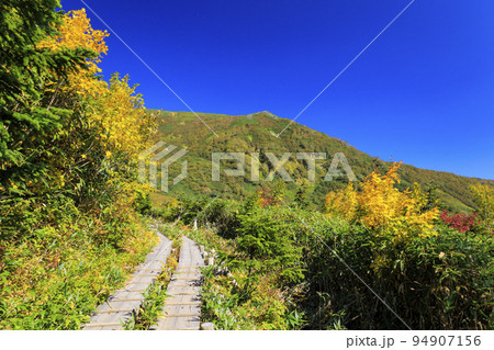 紅葉真っ盛りな栂池自然園 94907156