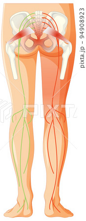 Lower back suffering from ankylosing spondylitis Lower back suffering from ankylosing spondylitis 94908923