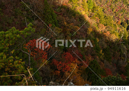 多紀連山の紅葉 多紀連山の紅葉 94911616
