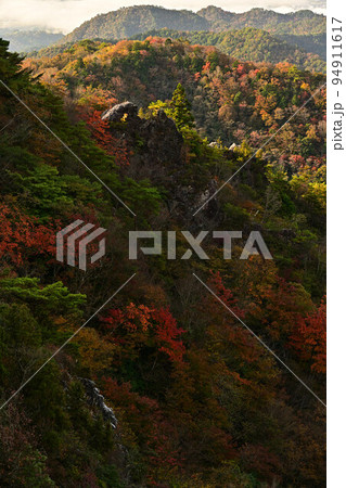 多紀連山の紅葉 多紀連山の紅葉 94911617