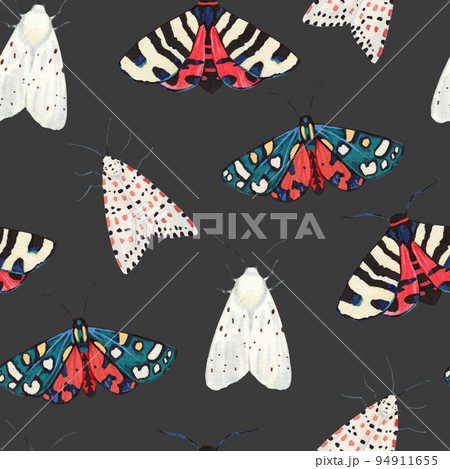 Seamless pattern with garden tiger moths, Arctiidae family. Watercolor illustration of beautiful night mots, detailed and isolated on white background 94911655