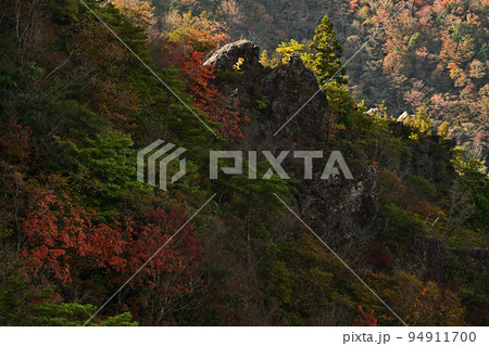 多紀連山の紅葉 多紀連山の紅葉 94911700