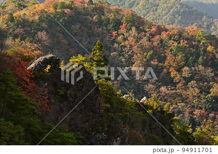 多紀連山の紅葉 多紀連山の紅葉 94911701