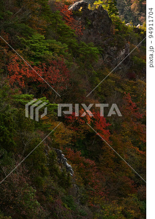 多紀連山の紅葉 多紀連山の紅葉 94911704